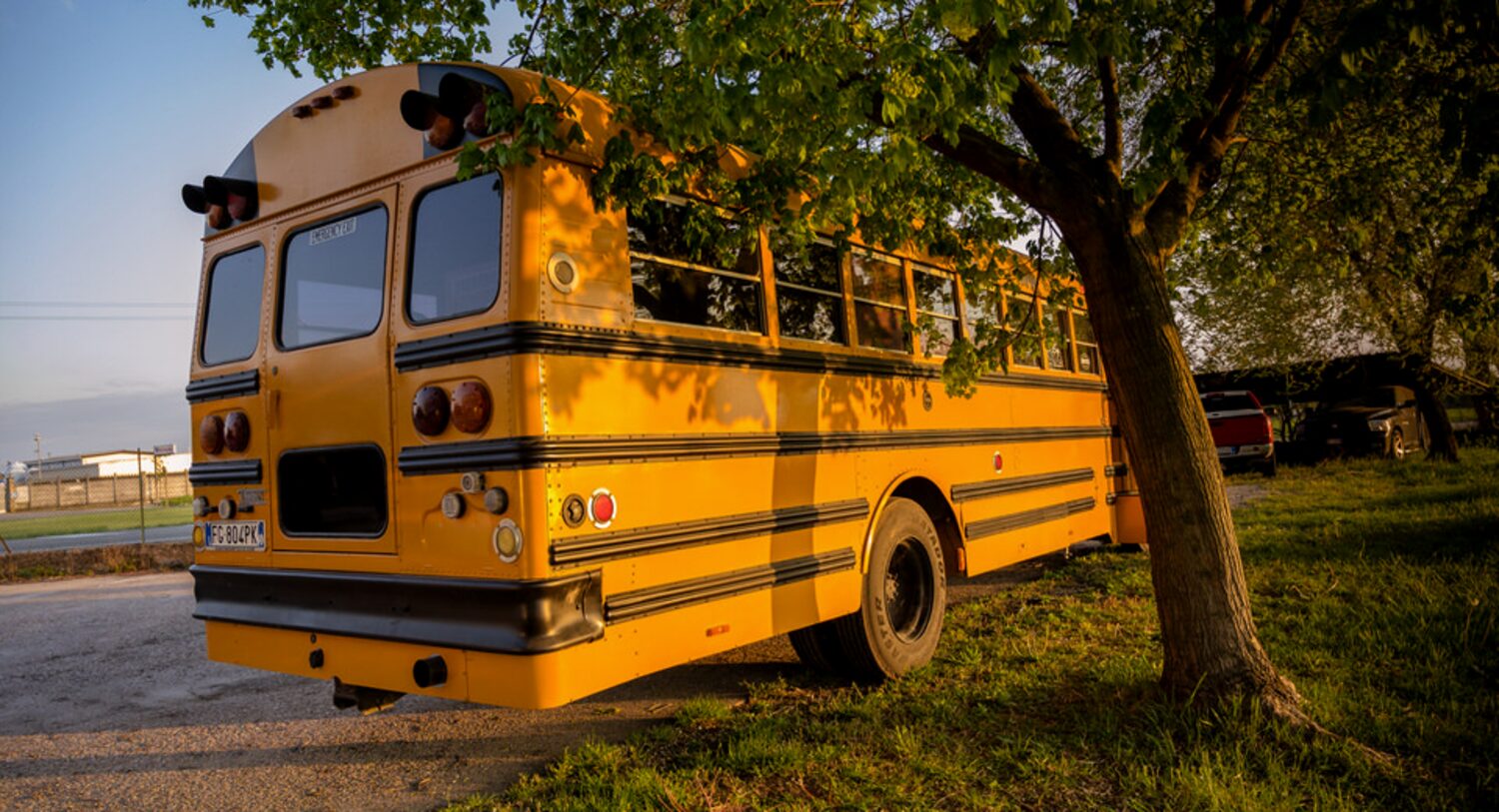 A restored American school bus in low evening sun, its yellow body catching the light under a large tree.